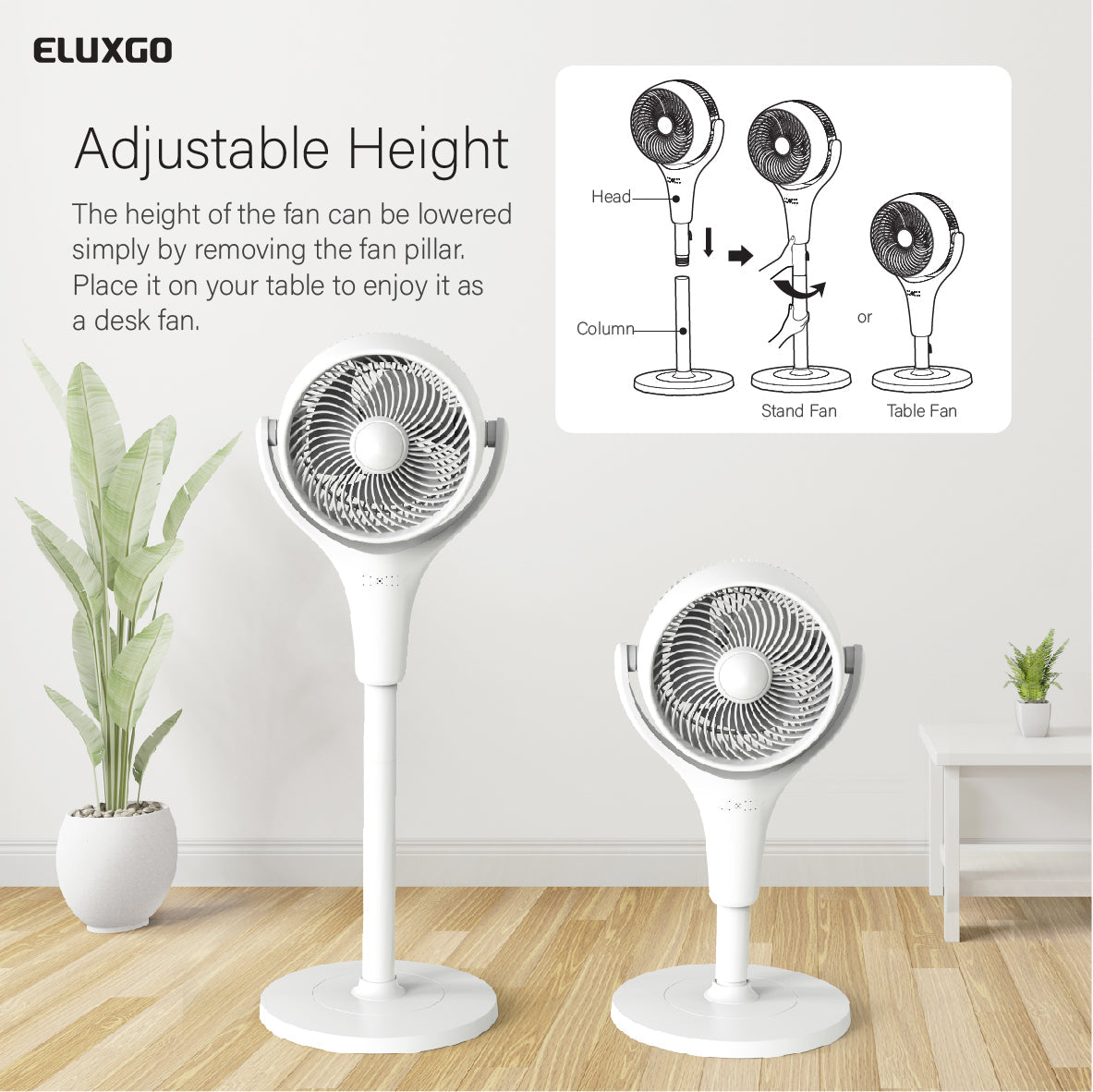 EF30 Air Circulation Stand Fan