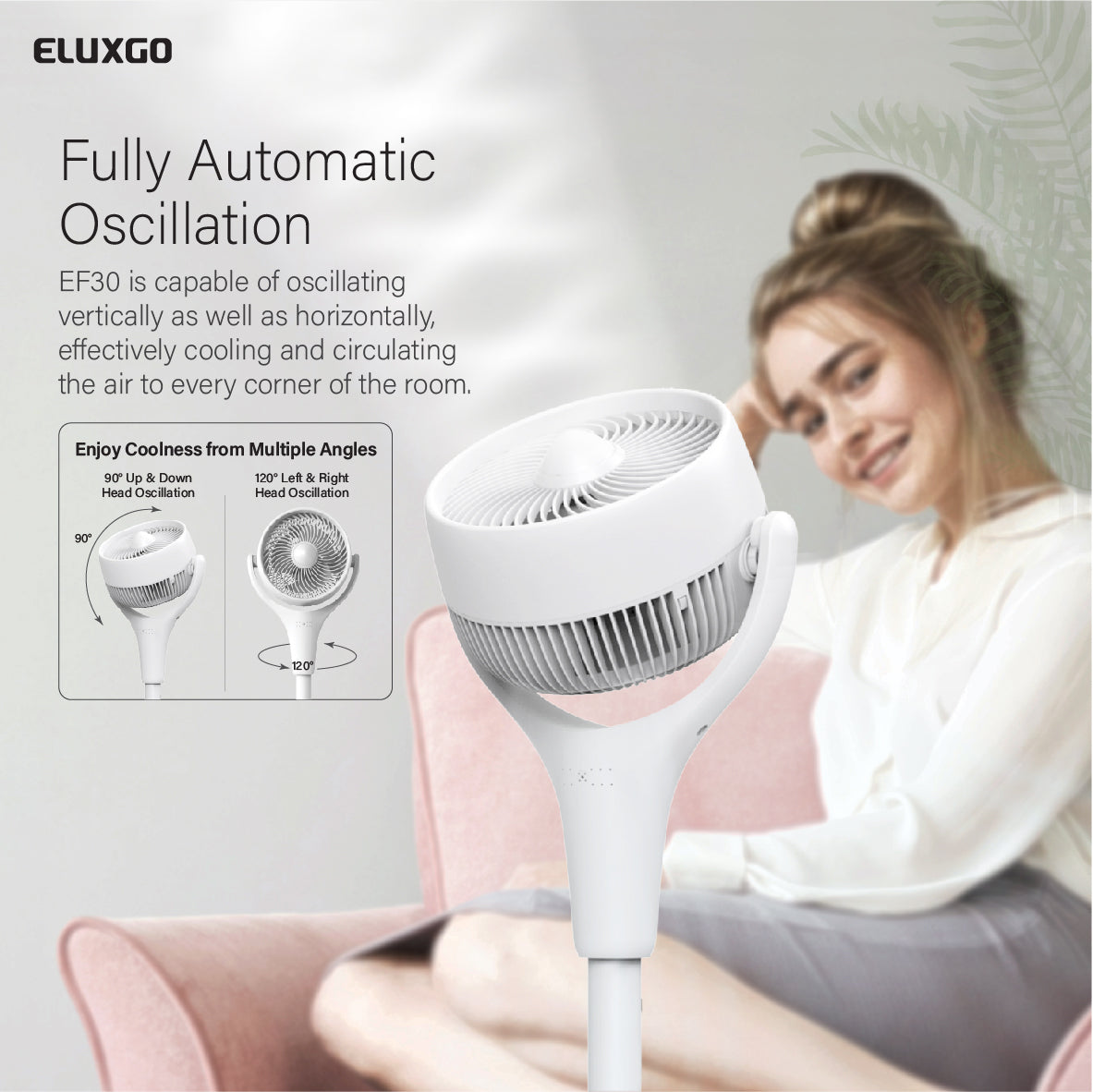 EF30 Air Circulation Stand Fan