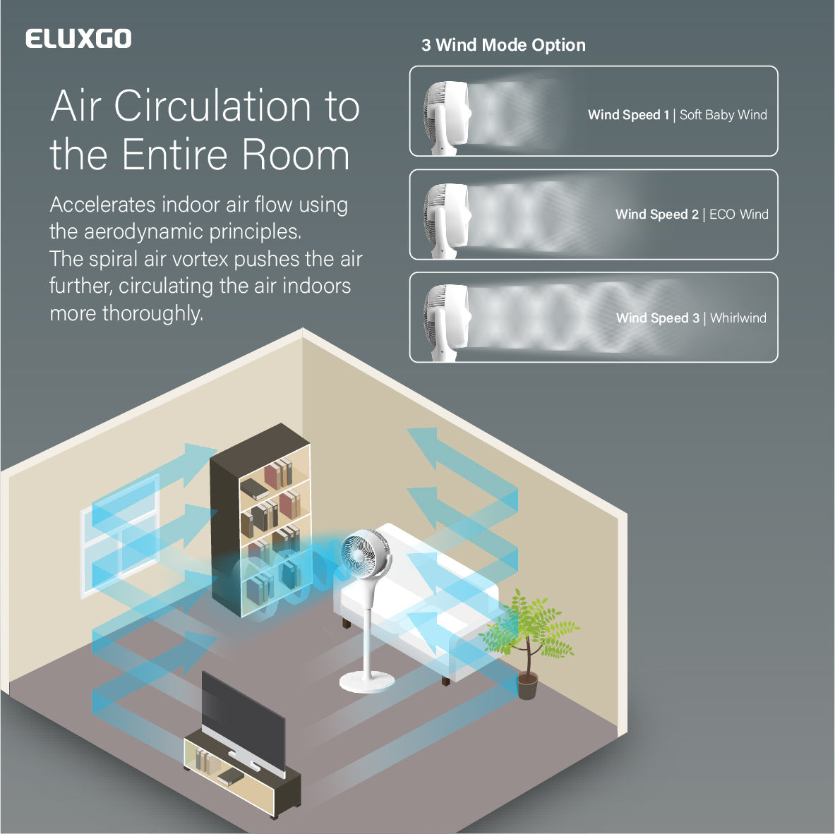 EF30 Air Circulation Stand Fan