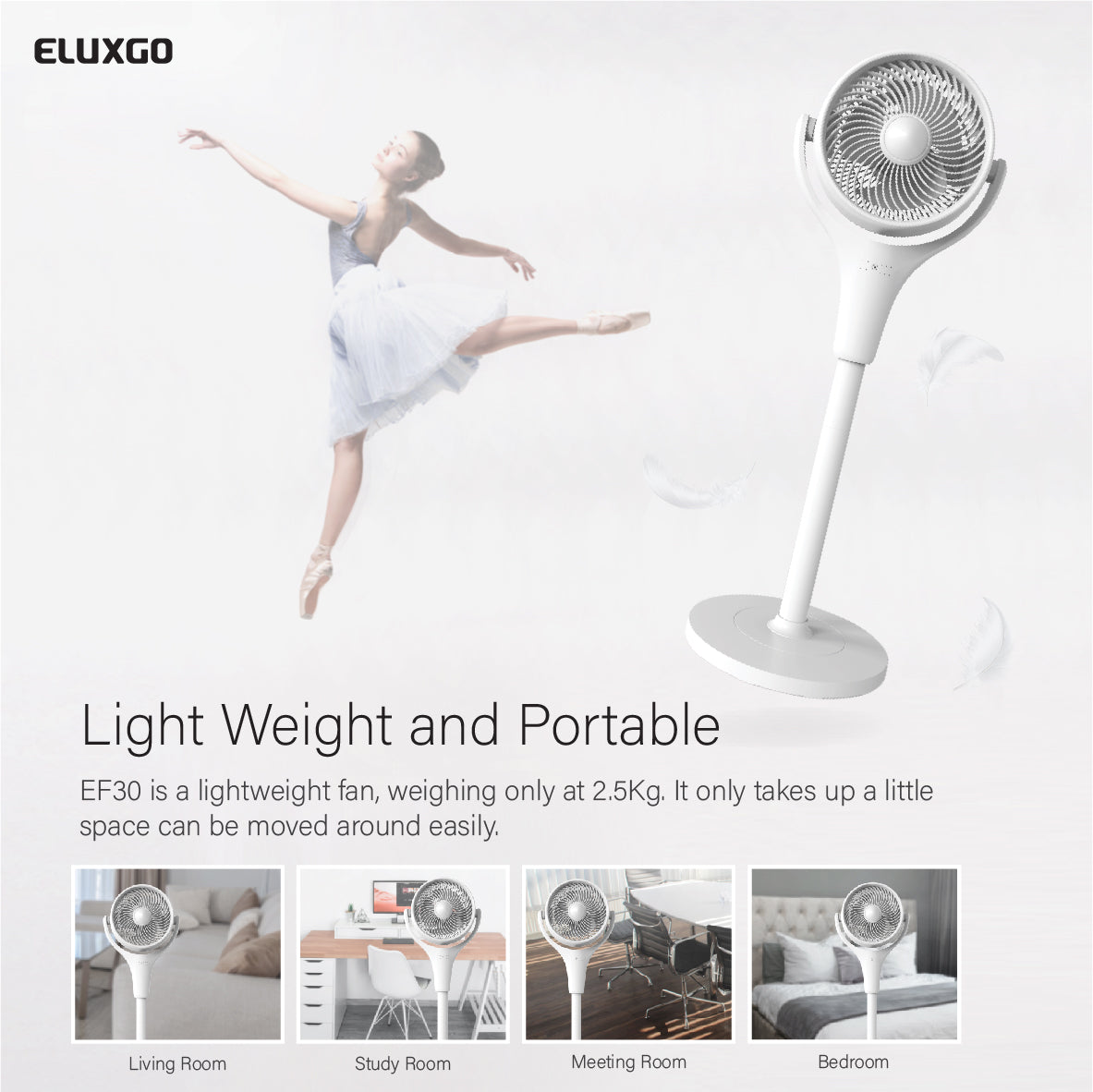 EF30 Air Circulation Stand Fan