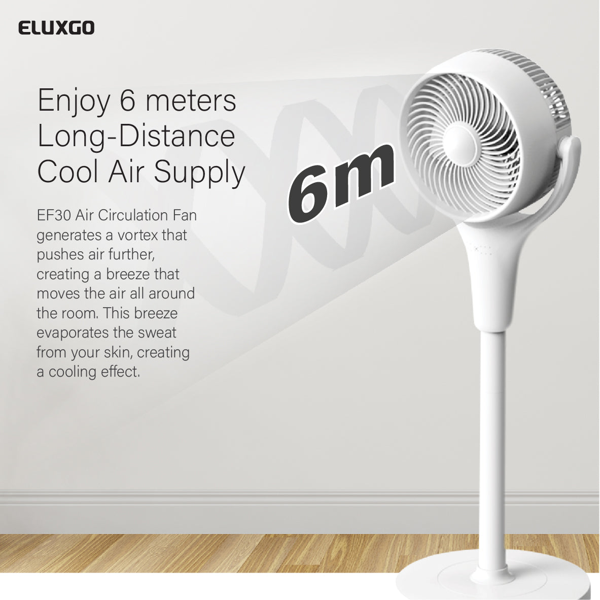 EF30 Air Circulation Stand Fan